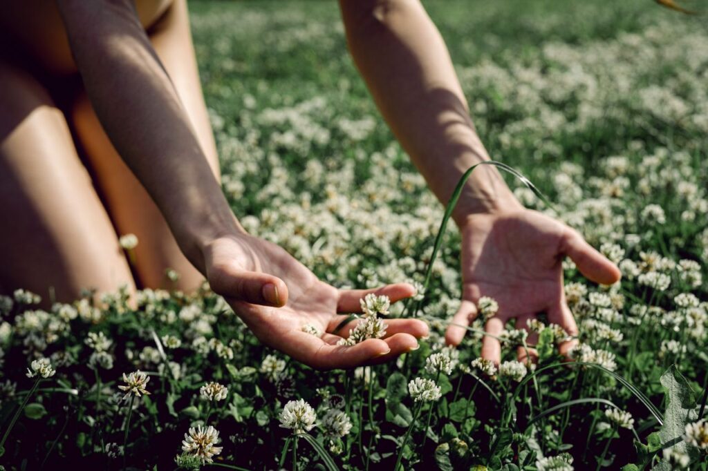 Close-up of hands caressing white clover flowers in a lush green field, representing a connection with nature.